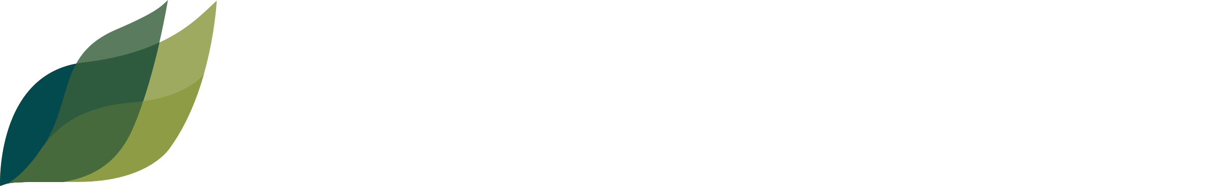 Logo_Tipografia_Branco_Fundo_Transparente